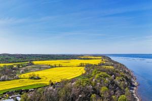 Ferienwohnung mit traumhaftem Meerblick - Haus am Meer FeWo 01