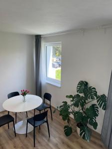 Apartmán ERUDITO Královský vršek Jihlava