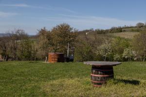 Balatoni Présházikó