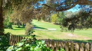 Appartements M- Albatros 04-Moliets Appartement 2 pieces avec terrasse proche golf : photos des chambres