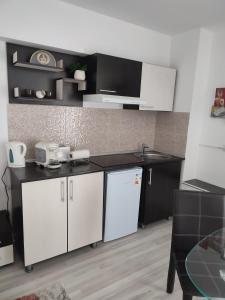 Sophia Central Studio 2