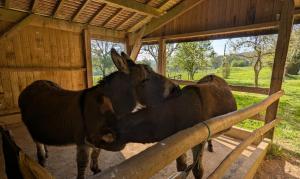 Hameau des Galottières-Perche, immersion nature