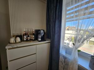 Medziotoju Apartment in Old City