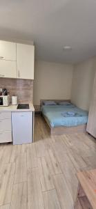 Apartaman Ana 5
