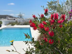 Dear John, a serene escape near Elia beach