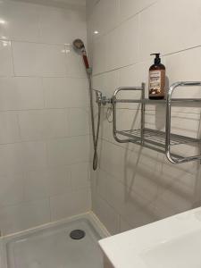 Appartement 2 pièces à 5 mn de la plage N3