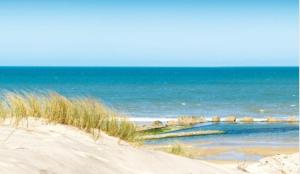 Jolie T2 avec terrasse proche plage