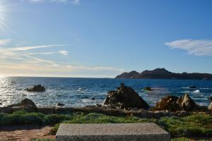 WILD BLUE Sardinia img12