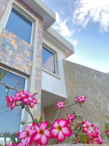 Lomas del Encanto, villa en la montaña cerca del mar