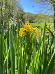 Yukon Cottage at Pink Heather - Stunning North Devon Escape