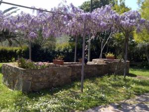 Agriturismo Debbione Maro