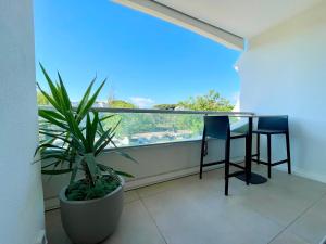 PGH N43 - Studio climatisé avec piscine