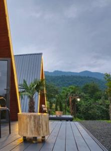 Cottages near Batumi