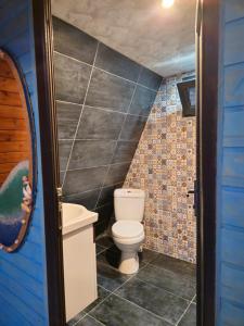 Cottages near Batumi