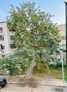 Daryas Studios - Stylish &Comfy Apartments, New Cairo