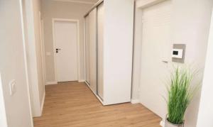 Modern Nest Timisoara