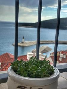 Lustica Bay Iris Apartment