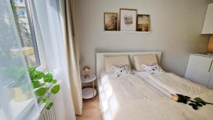 Golden Nest