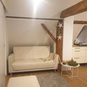 Maisons de vacances Maison spacieuse a Sainte-Croix-en-Plaine avec jardin : photos des chambres