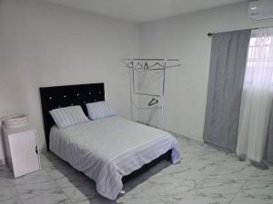 House with garden and pool