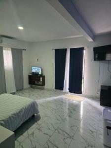 House with garden and pool