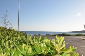 FANTASTIC SARDINIA VILLETTE CON GIARDINO Fronte Mare Fertilia FAHO-GAV01-GAV02