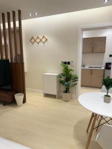 Reefy studio 3