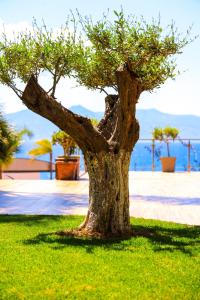 Hotel Apollon Sarande