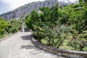 Lemon Grove, Capri