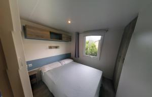 Camping Lacona Pineta