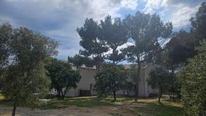 Appartements L- Aglandau Au coeur des oliviers en Provence : photos des chambres