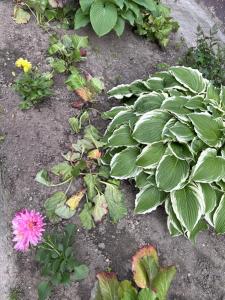 APARTAMENT KASZMIR w KRÓLEWSKIM SANDOMIERZU