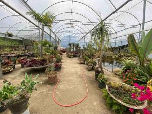 Rancho Vale das Flores - Cabana de Montanha