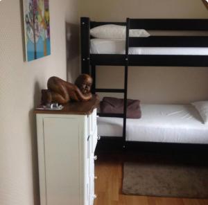 Appartements gite Josephine : photos des chambres