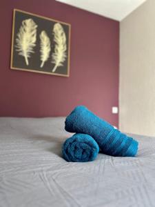 Appartements Le Vallon Appartement T2 : photos des chambres
