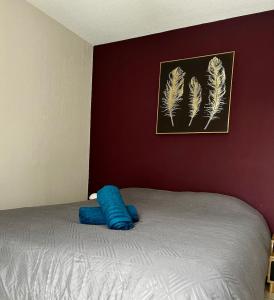 Appartements Le Vallon Appartement T2 : photos des chambres