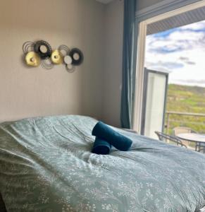 Appartements Le Vallon Appartement T2 : photos des chambres