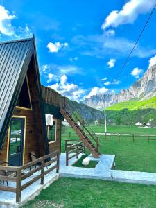 Komarnica Forest Owl