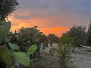 Case Vacanze Buonivini