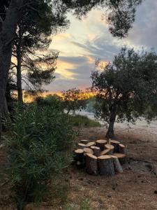 Case Vacanze Buonivini