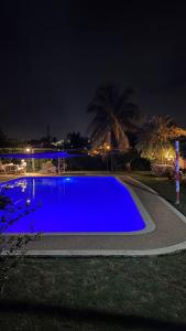 casa con piscina aeropuerto flandes