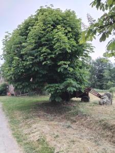 Maisons d'hotes La longere du Lesty : photos des chambres