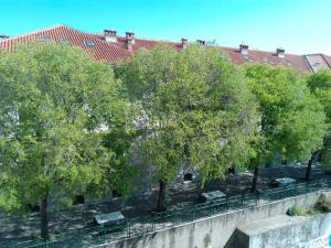 Pinky city life Split