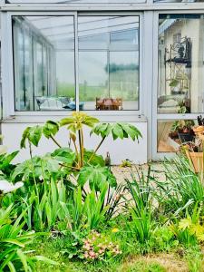 Maisons de vacances L’Apazys : photos des chambres