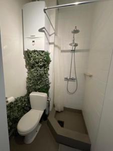 Private studio in Antwerp