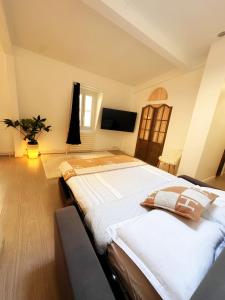 Quai de Seine Tour Eiffel Trocadéro