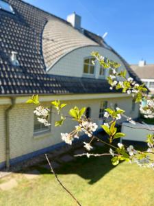 Sellin Ferienwohnung Maritim
