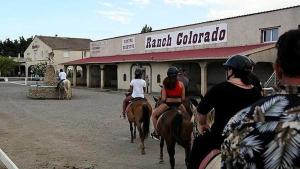 Bateaux BATEAU STANDING A QUAI tout confort : photos des chambres