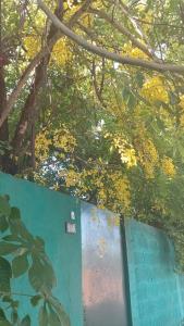 Posada María Iguazú