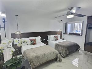 Newly renovated & furnished apartment